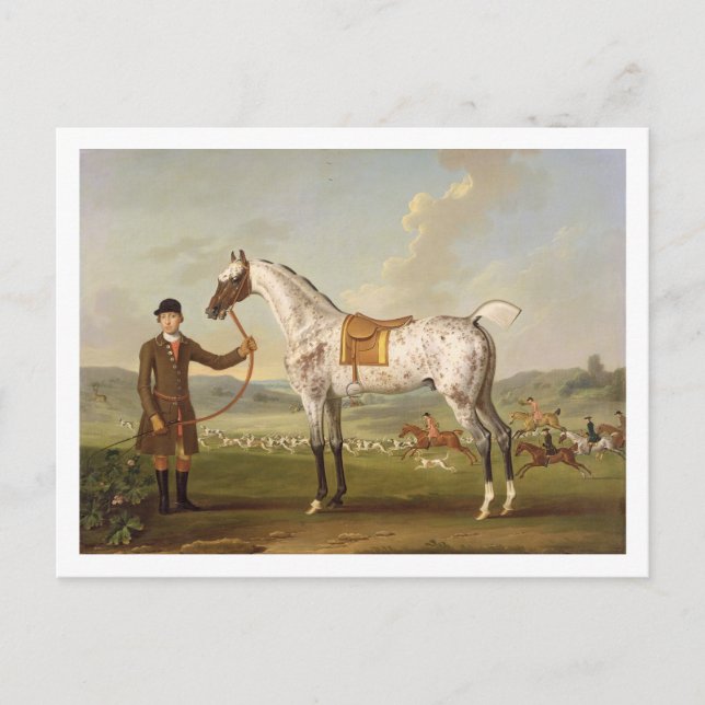 Scipio, Colonel Roche's Spotted Hunter, c.1750 (oi Postcard (Front)