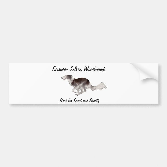 Scirocco Silken Windhounds Bumper Sticker (Front)