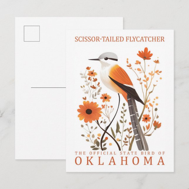 Scissor Tailed Flycatcher Bird of Oklahoma Postcard (Front/Back)