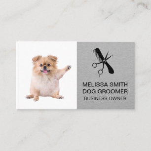 Scissors Comb Dog Groomer Appointment Card