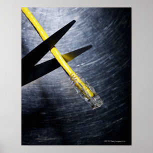 Scissors cutting ethernet connection cable poster