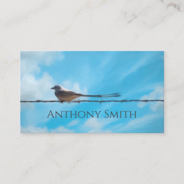 scissortail flycatcher bird nature blue sky custom business card (Front)