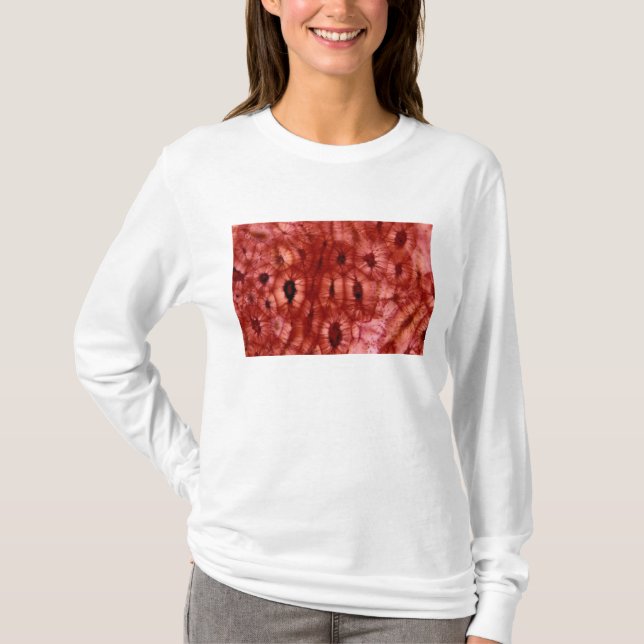 Sclerenchyma Cells from a Cherry Pit T-Shirt (Front)