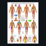 Sclerotome Joint Pain Referral Poster Chiropractic<br><div class="desc">Sclerotome Visceral Pain Referral Poster contains sclerotome pain referral from C1 to S3. Facet joint, sacroiliac and TMJ pain referral patterns. Sclerotogenous pain is reported by patients as deep, ill defined, dull aching, and diffuse. Sclerotogenous pain does not follow dermatomes but does follow a sclerotome pain pattern. The tissues that...</div>
