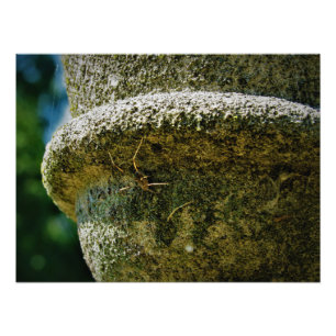 "SCOFIELD" PHOTO PRINT