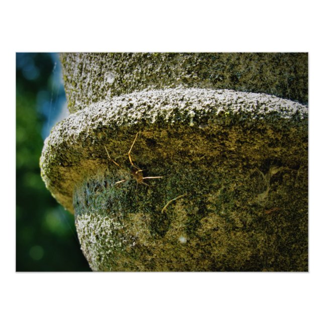 "SCOFIELD" PHOTO PRINT (Front)