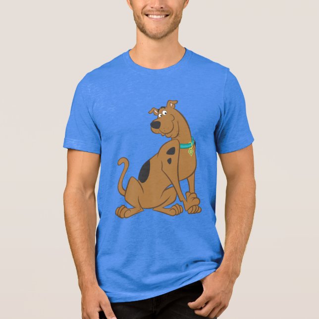 Scooby-Doo Bashful Pose Tri-Blend Shirt (Front)