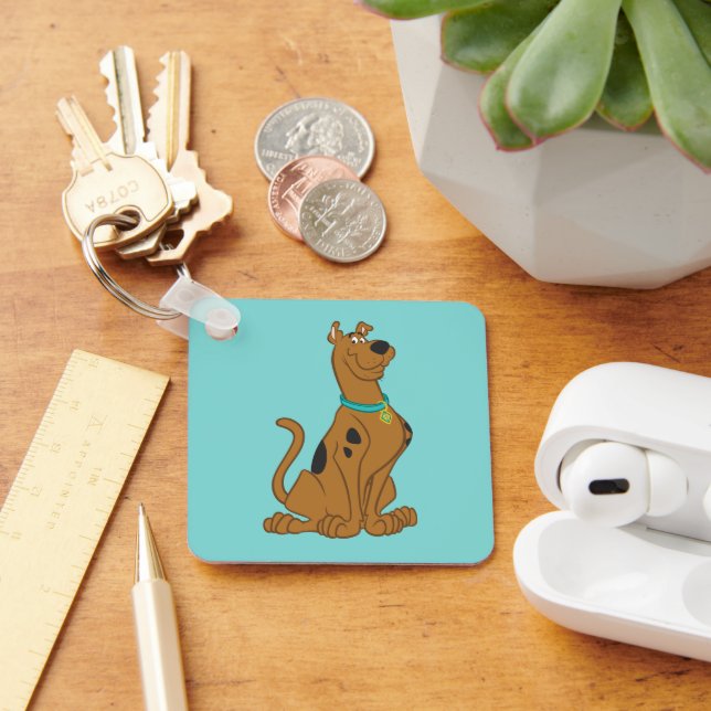 Scooby-Doo Cuter Than Cute Key Ring (Desk)
