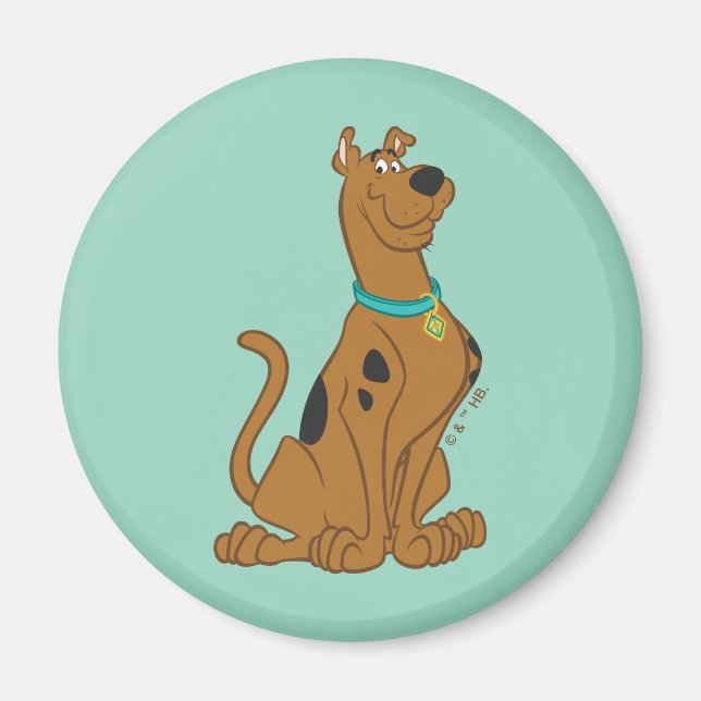 Scooby-Doo Cuter Than Cute Magnet (Front)