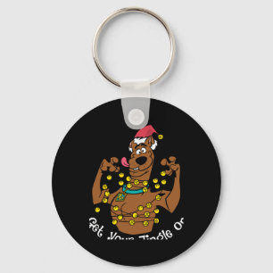 Scooby Doo Get Your Jingle On Key Ring