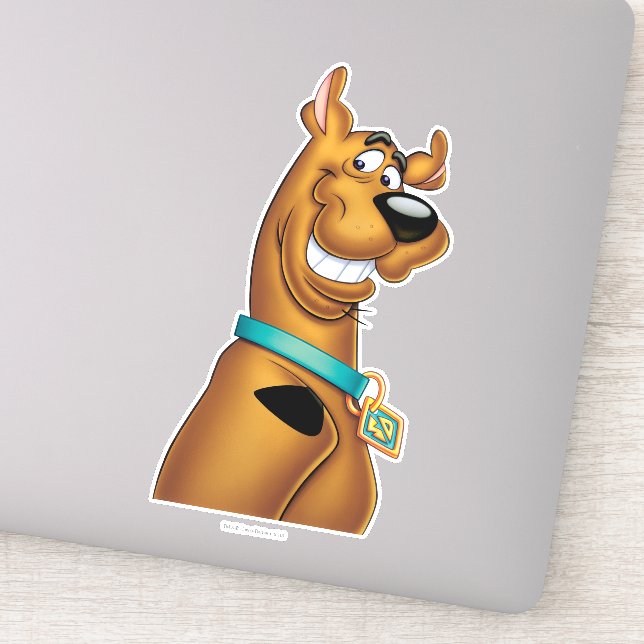 Scooby-Doo Grin (Detail)