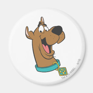 Scooby-Doo Happy Face Magnet
