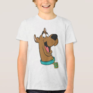 Scooby-Doo Happy Face Tri-Blend Shirt