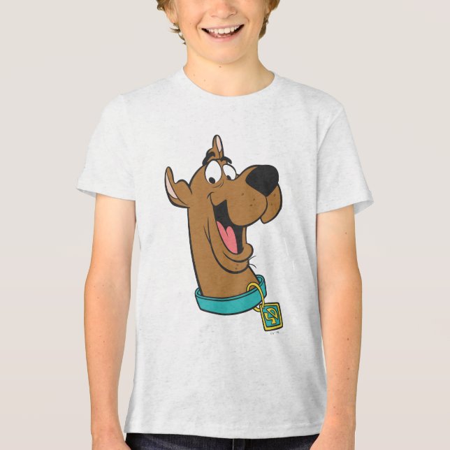 Scooby-Doo Happy Face Tri-Blend Shirt (Front)