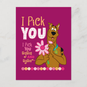 Scooby Doo - I Pick You Postcard