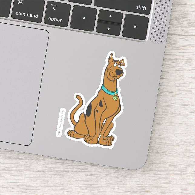 Scooby-Doo Puppy Eyes (Detail)