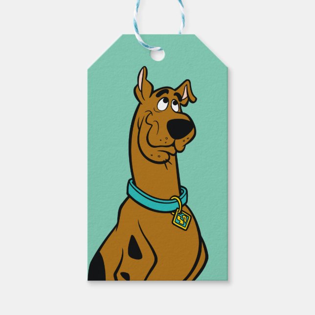 Scooby-Doo Puppy Eyes Gift Tags (Front)