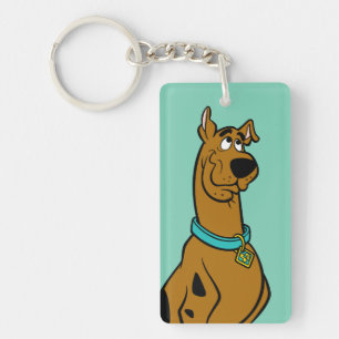 Scooby-Doo Puppy Eyes Key Ring