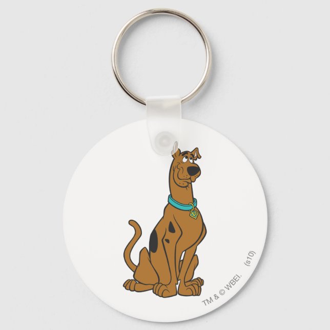 Scooby-Doo Puppy Eyes Key Ring (Front)