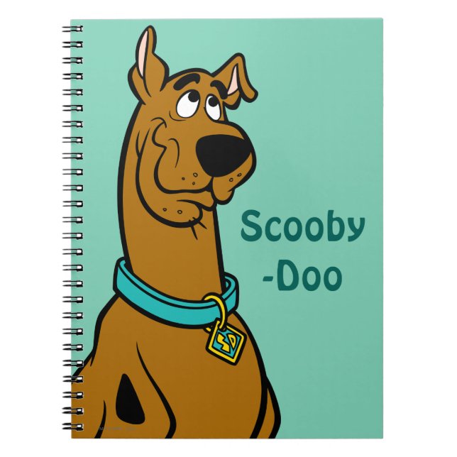 Scooby-Doo Puppy Eyes Notebook (Front)