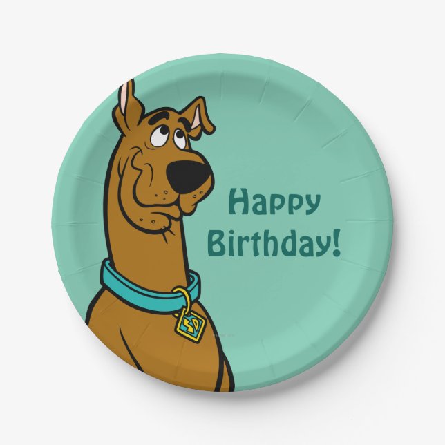 Scooby-Doo Puppy Eyes Paper Plate (Front)