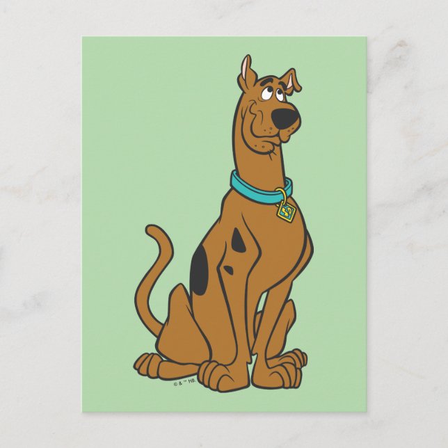 Scooby-Doo Puppy Eyes Postcard (Front)