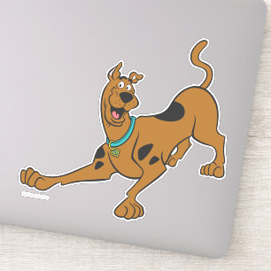 Scooby-Doo Ready To Play