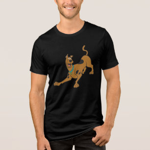 Scooby-Doo Ready To Play Tri-Blend Shirt