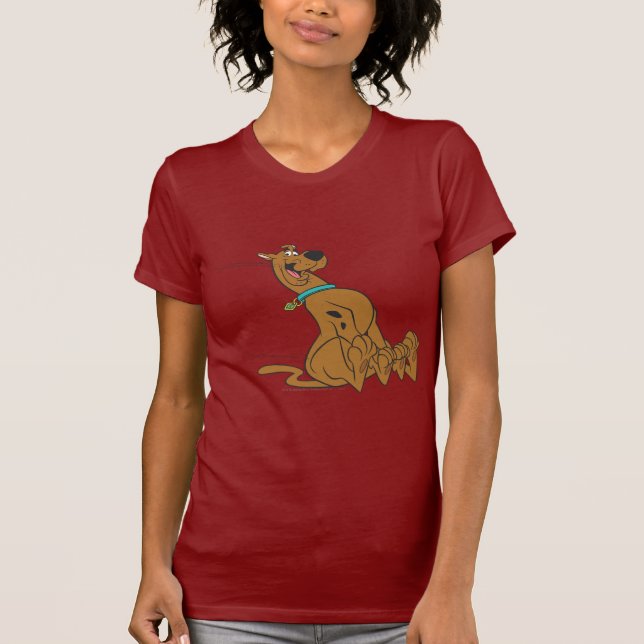 Scooby-Doo Slide T-Shirt (Front)