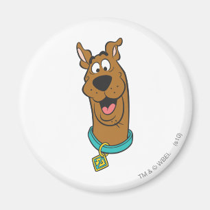 Scooby-Doo Smiling Face Magnet