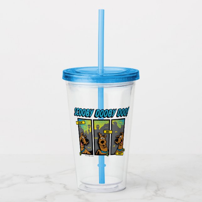 Scooby-Doo Where Are You Comic Panels Acrylic Tumbler (Front)