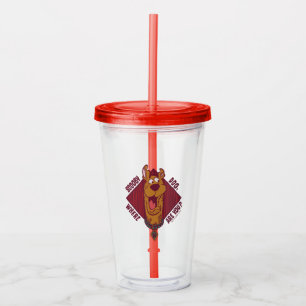 Scooby-Doo Where Are You Tribal Graphic Acrylic Tumbler