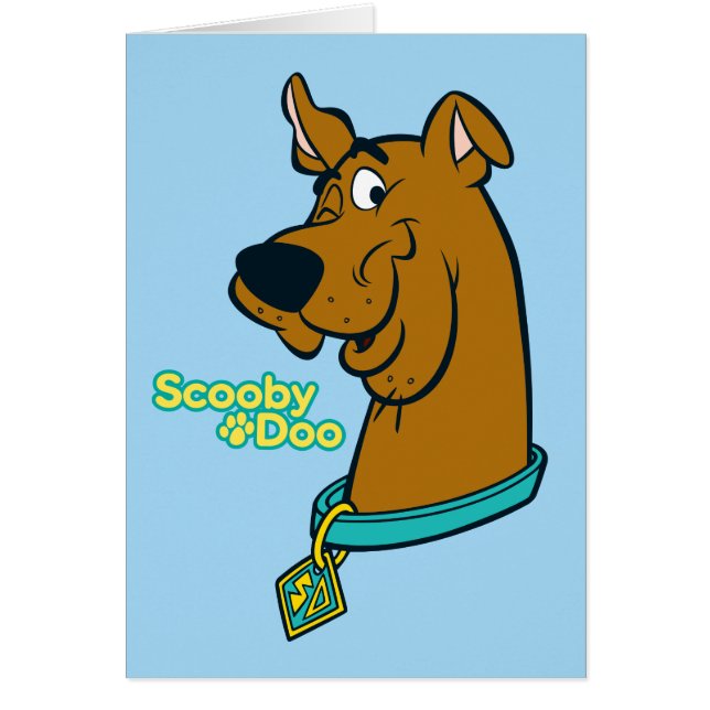 Scooby-Doo Winking (Front)