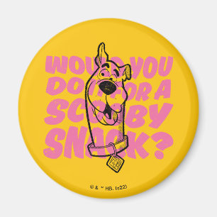 Scooby-Doo  Would You Do It For A Scooby Snack? Magnet