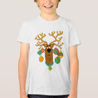 Scooby the Reindeer