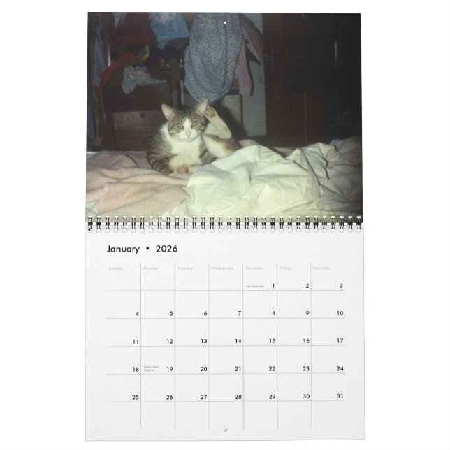 SCOOTER 2007 CALENDAR (Jan 2026)