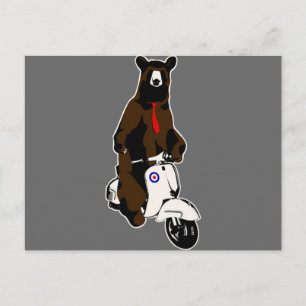 Scooter Bear Postcard