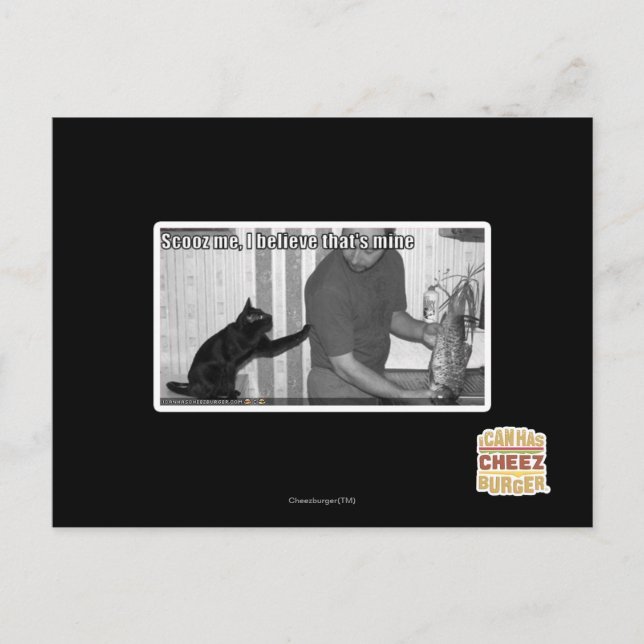 Scooz me, I believe that's mine Postcard (Front)