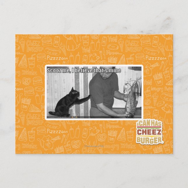 Scooz me, I believe that's mine Postcard (Front)