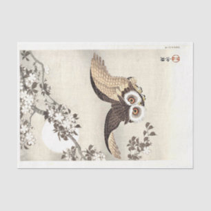 Scops Owl, Cherry Blossoms, and Moon Tissue Paper