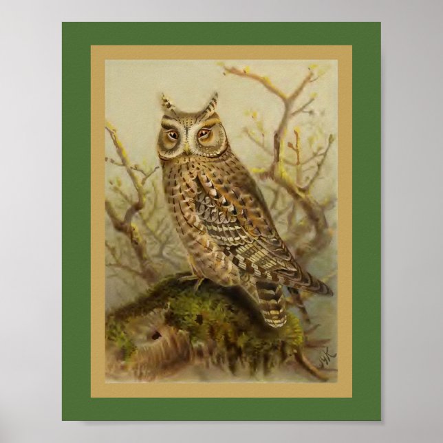 Scops Owl Vintage Bird Illustration Poster (Front)