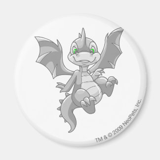 Scorchio Silver Magnet