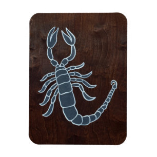 Scorpio 2008 magnet