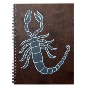 Scorpio 2008 notebook