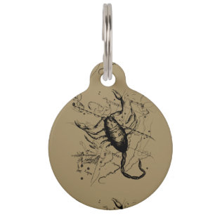 Scorpio Constellation Hevelius 1690 Classic Pet Tag
