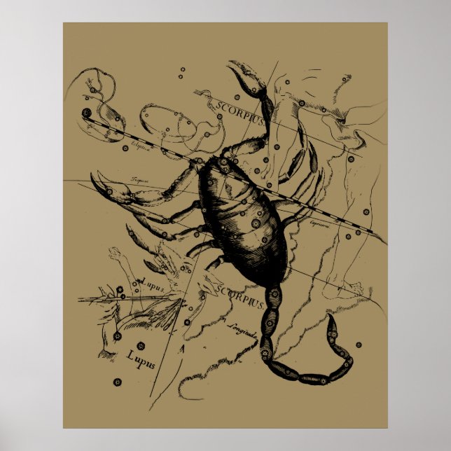 Scorpio Constellation Hevelius 1690 Decor (Front)