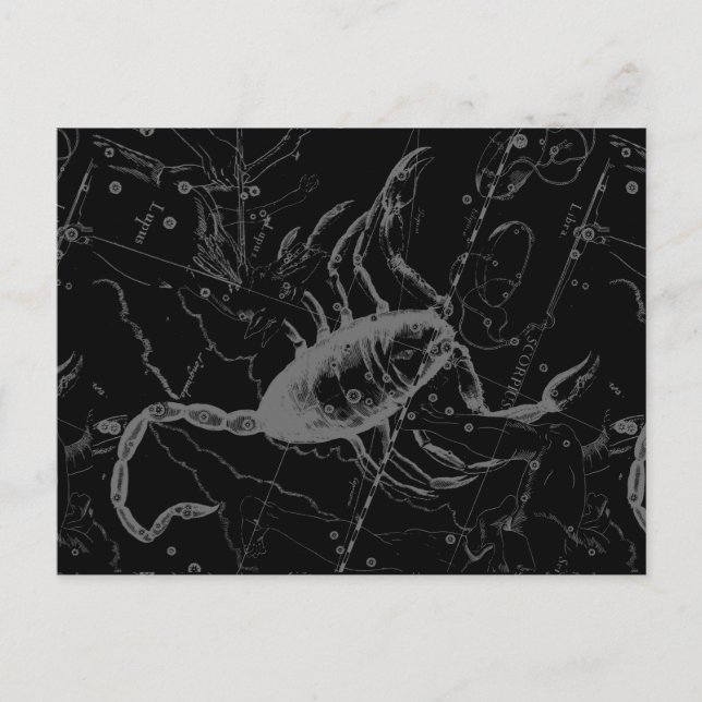 Scorpio Constellation Hevelius circa 1690 on Black Postcard (Front)