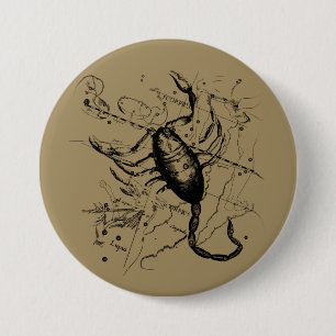 Scorpio Constellation Hevelius circa 1690 Vintage 7.5 Cm Round Badge