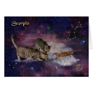 Scorpio for Cat Lovers