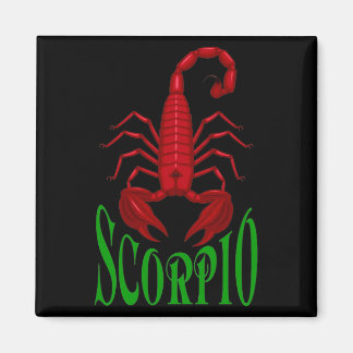 Scorpio Magnet